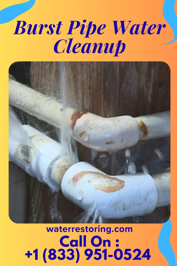 Burst Pipe Water Cleanup in New York Mills, NY