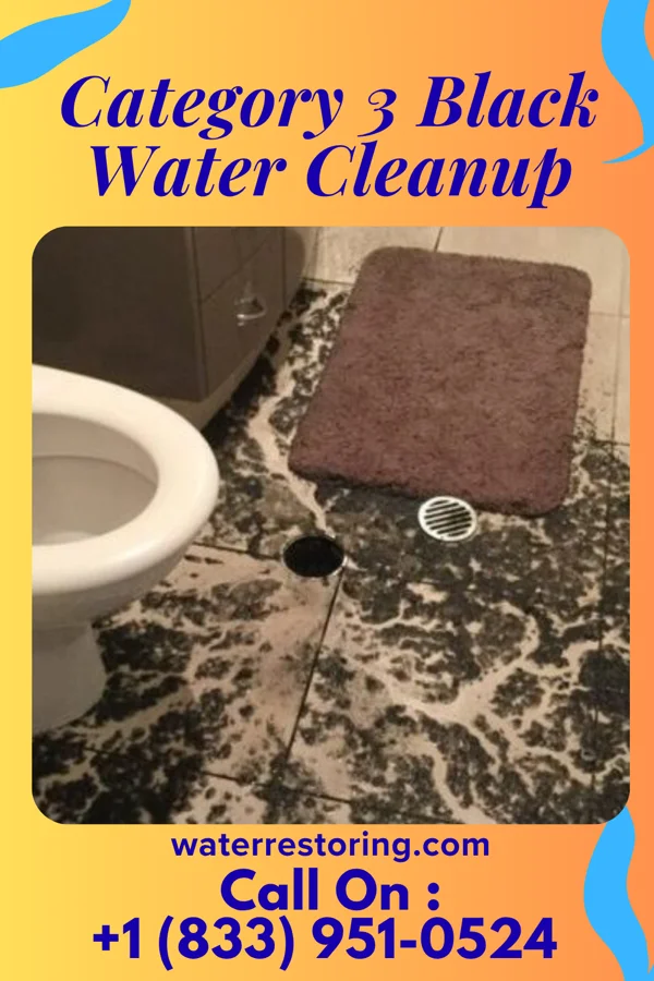 Category 3 Black Water Cleanup in New York Mills, NY