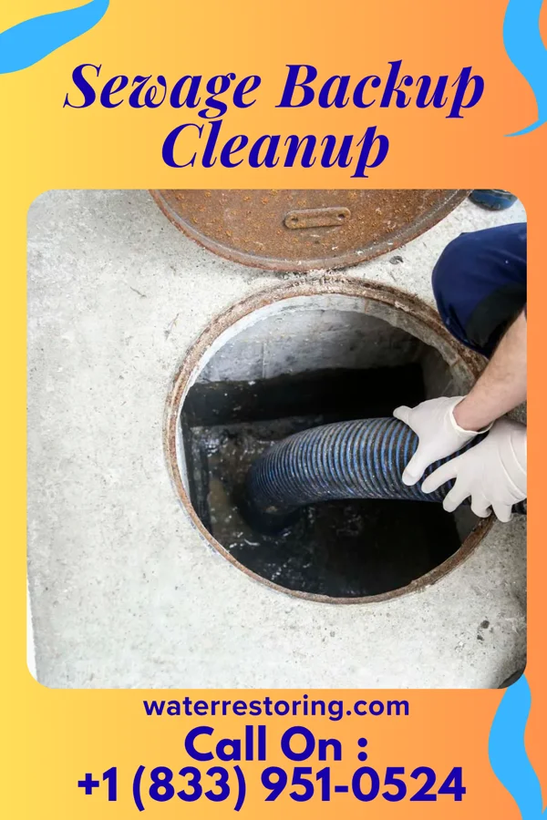 Sewage Backup Cleanup in New York Mills, NY
