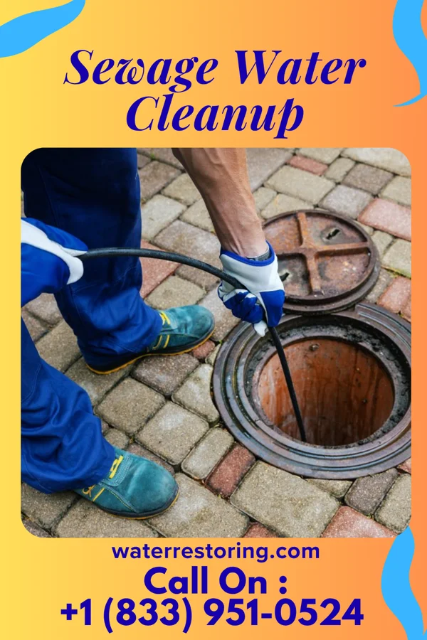 Sewage Water Cleanup in New York Mills, NY