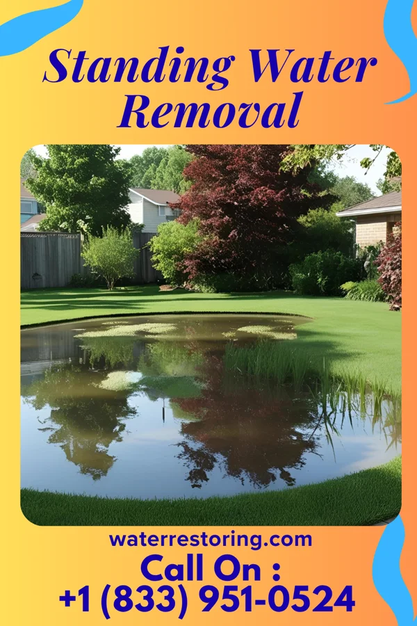 Standing Water Removal in New York Mills, NY